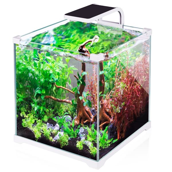 SunSun Shrimp LED - 5W rejetanklampe