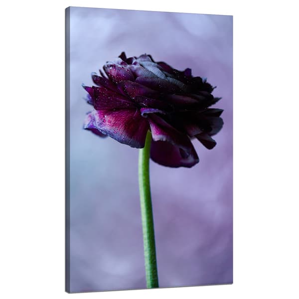Lærredstryk Botanik Lilla blomst 70x120