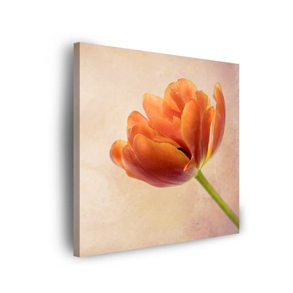 Lærredstryk Botanik Tulipan 80x80 cm
