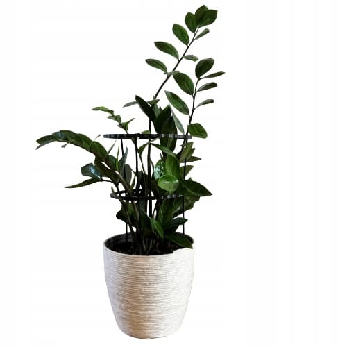 Støttering til blomsterplanter Klemme Støttering S 33x18cm