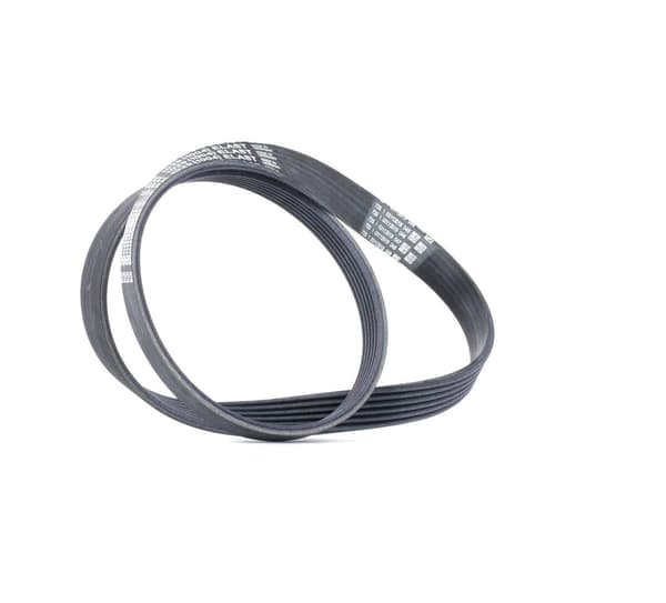 CONTITECH 6 PK 1029 ELAST flerribbat rem