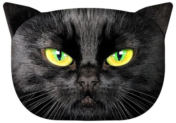 Bertoni pyntepude "Nero Cat" 30×45 cm - fløjl, katteprint, antiallergisk indlæg