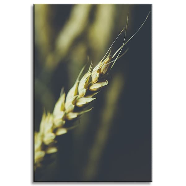 Canvastavla Botanik Veteax 60x90 cm