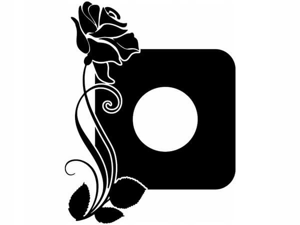 Suojatarra kytkimelle - Double Rose
