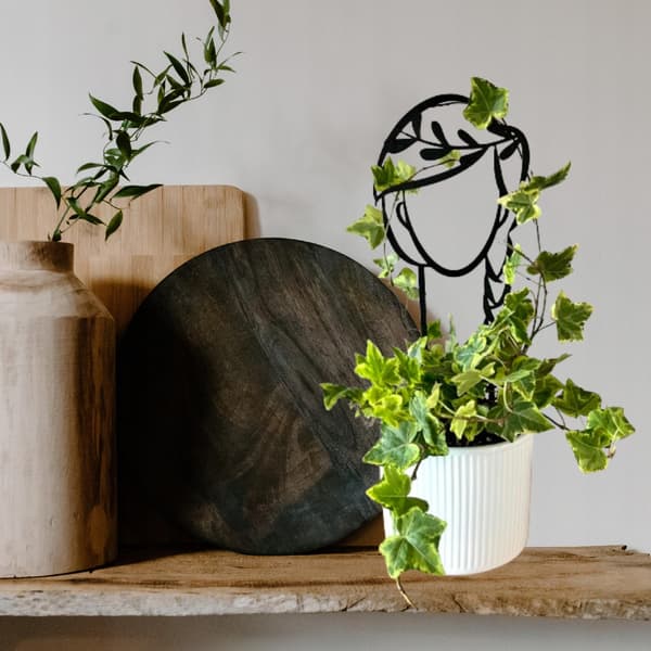 Stöd för klätterväxter Stöd för klätterblommor Pergolastege 38 cm