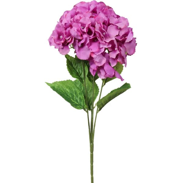 Bukett med 4 vinröda hortensia