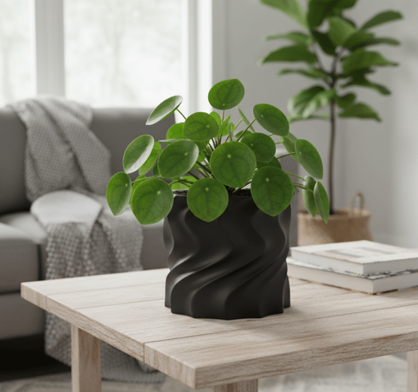 Sort spiralformet dekorativ urtepotte til planter, moderne design