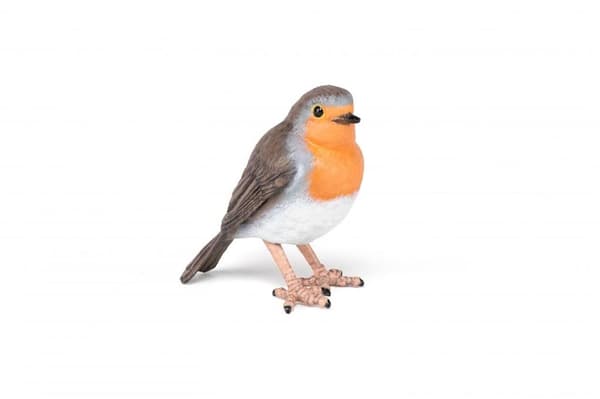 Robin