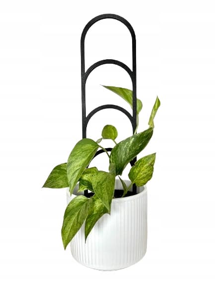 Stöd för klätterväxter Stöd för klätterblommor Pergolastege 38 cm