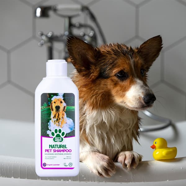 Ecogenic, Pet's Green, lemmikkien shampoo, 250 ml