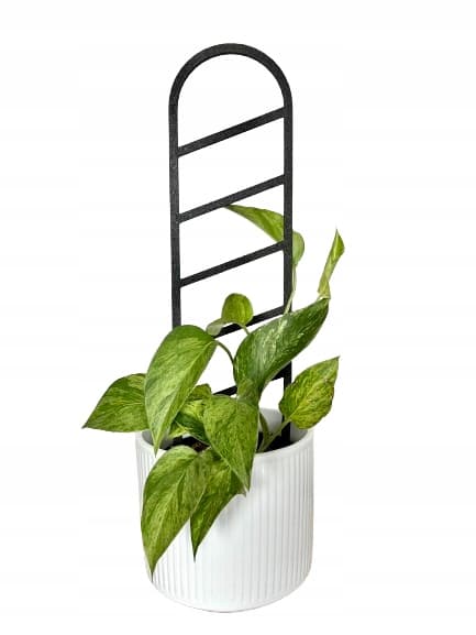 Stöd för klätterväxter Stöd för klätterblommor Pergolastege 38 cm