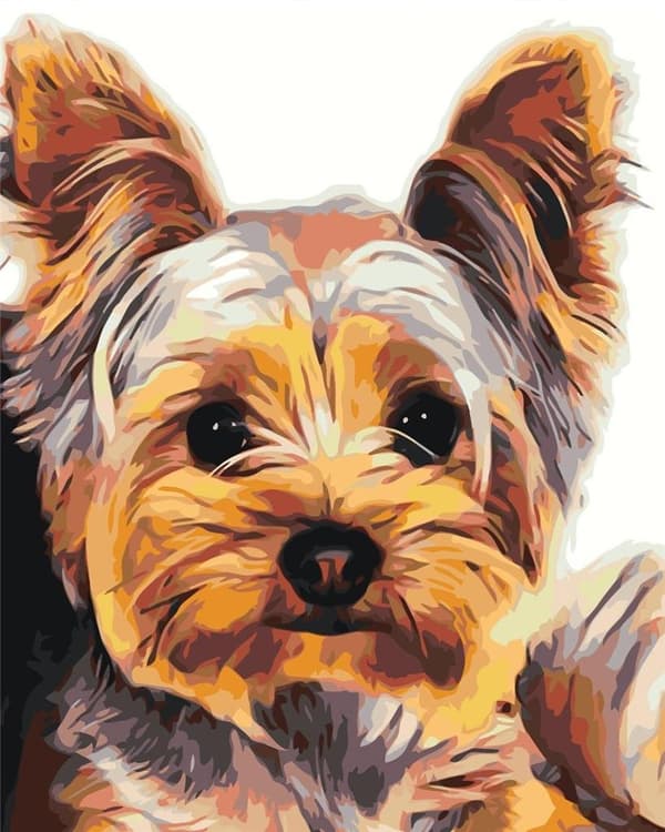 Maleri efter tal - 30x40cm York