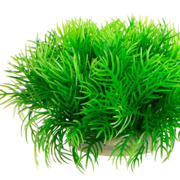 Kruger Meier Plant Slim Green - tekokasvi