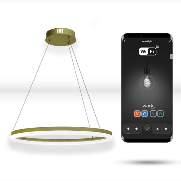 WiFi Tuya 40 cm LED guld hængende ringcirkellampe