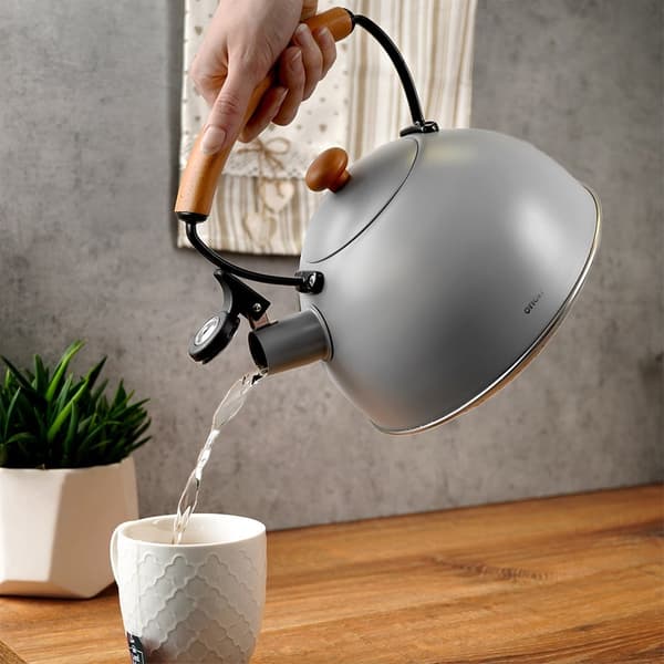 Kedel med fløjte, stål, grå, TRÆ, 2,9 l