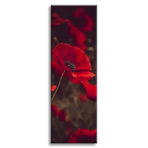 Canvastavla Botanik Röda Vallmo 40x120 cm