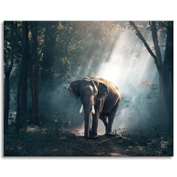 Canvastavla Djur Elefant 100x80 cm