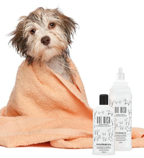 ONE Wish Antiallergisk shampoo 250 ml
