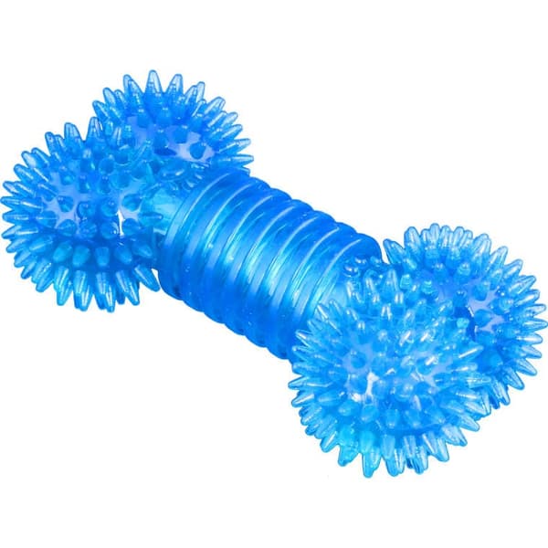 Hundtuggben av säkert gummi, blått