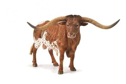 Texas Longhorn-tyr