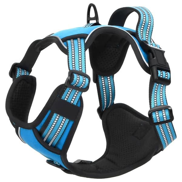 vidaXL Justerbar hundsele, blå, XL