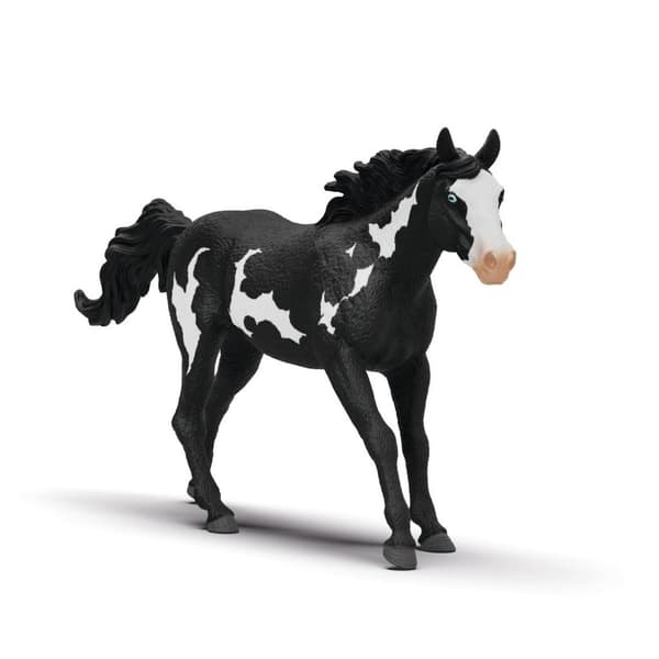 Paint Horse -ruuna