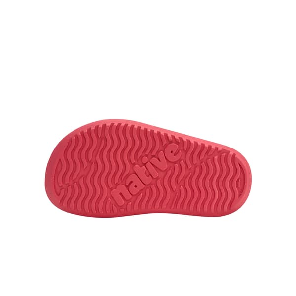 Native Frankie Sugarlite Barn 25 Sandaler