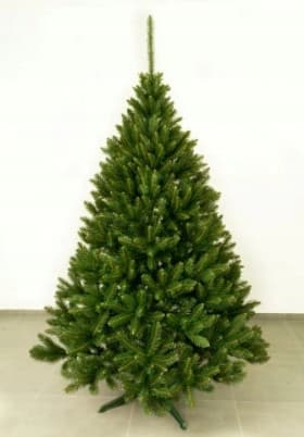 Ch. Kaukasisk gran 300 cm