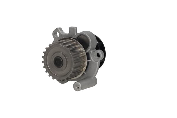 FT04483 HURTIG VANDPUMPE