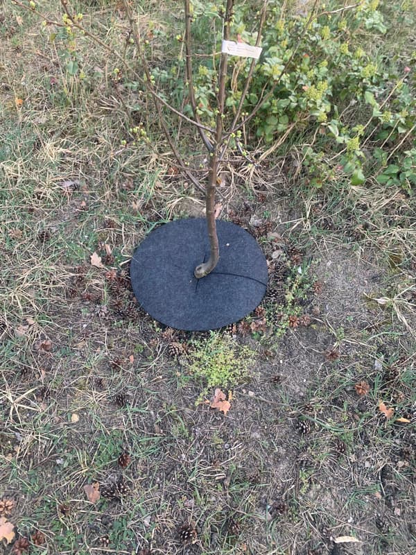 Filtskive til ukrudtsbeskyttelse, bioklip, grå, diameter 40 cm