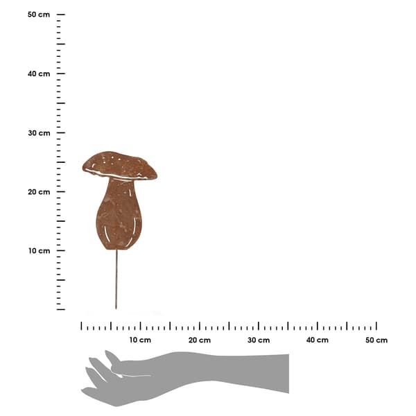 Metallisk boletus på topp h27 cm