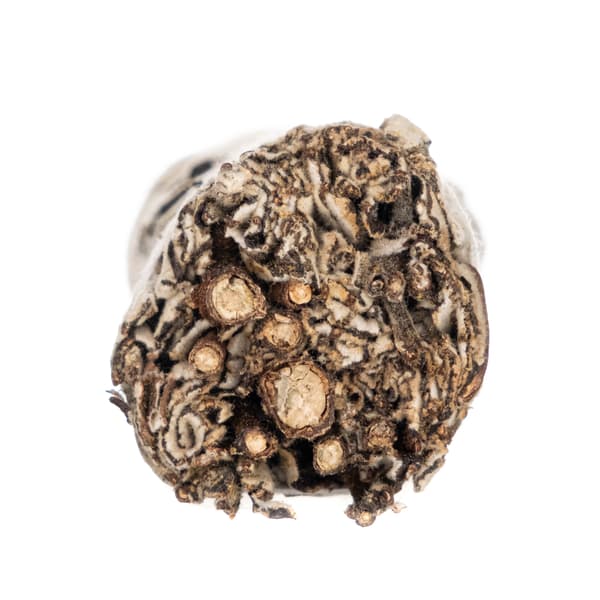 Naturlig røgelse - Yerba Santa