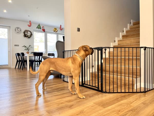 Universell sikkerhedsbarriär op til 331 cm til hunde og katte - sort loft, solid, stål, holdbar