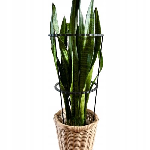 Støttering til blomsterplanter Klemme til støttering L 60x24cm