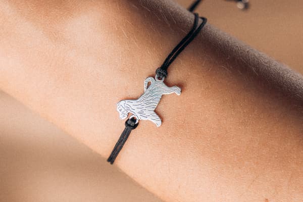 Silverfärgad strävhårig Jack Russell terrier-armband