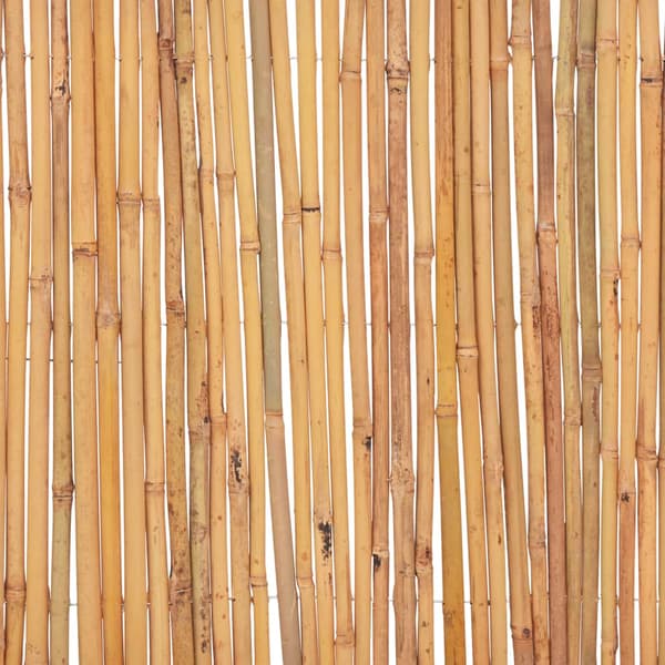 vidaXL Bambu staket 500 x 30 cm