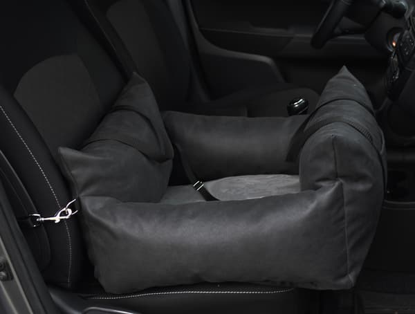 Molly Carbon Carrier/Carrier