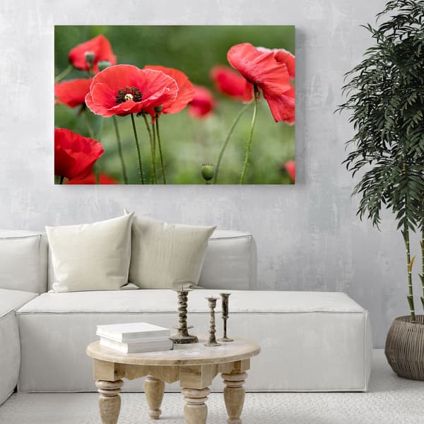 Canvastavla Botanik Röda Vallmo 80x40 cm