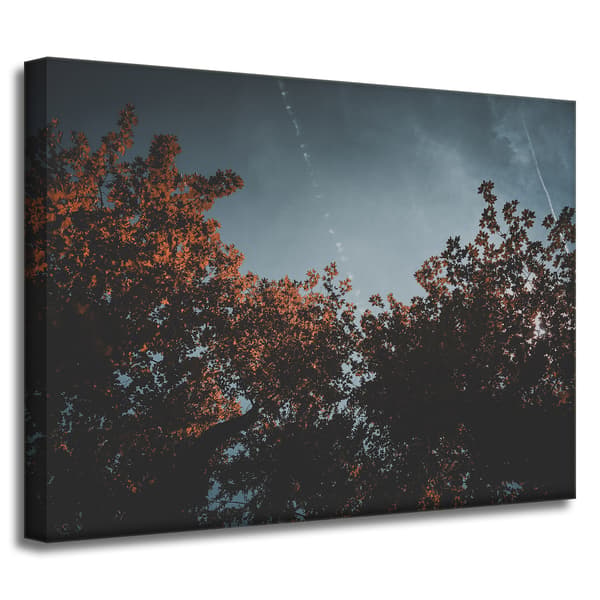 Lærredsbillede Orange trækroner 40x30