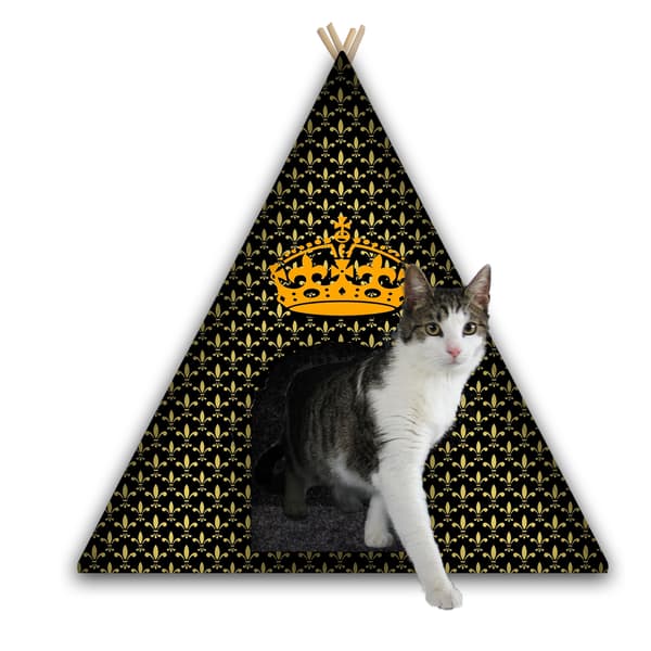 Tipi til hund/kat med hynde KORONA L