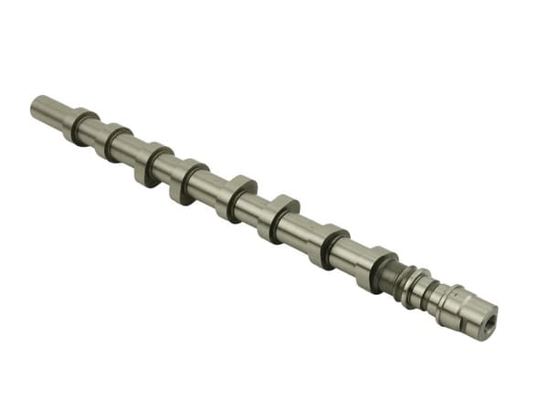 FT45077 SNABBINSUGSKAMAXEL