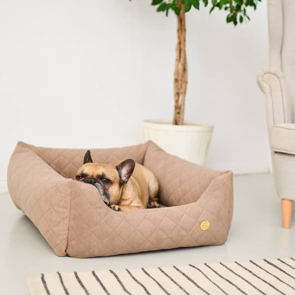 COZY fløjlsseng - størrelse M beige