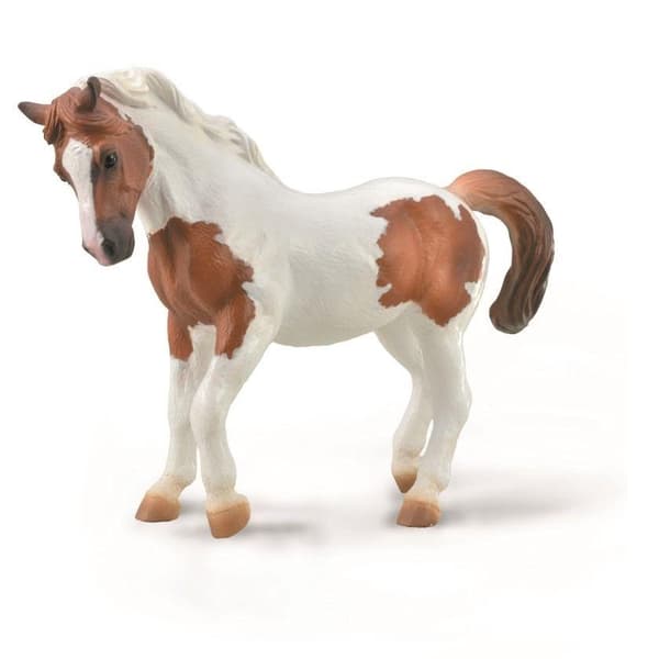 Chincoteague Chestnut Pinto Poni