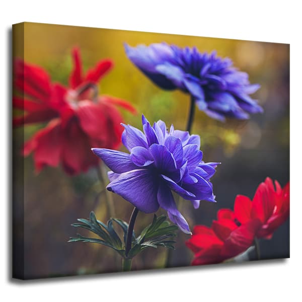Lærredstryk Botanik Vilde blomster 50x40 cm