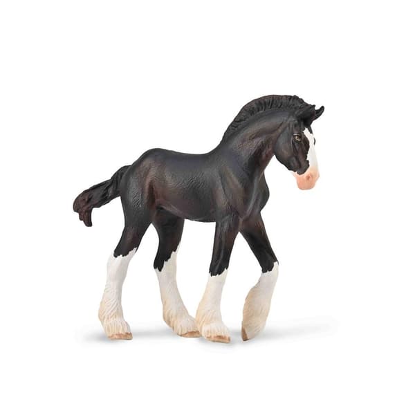 Musta Clydesdale-varsa