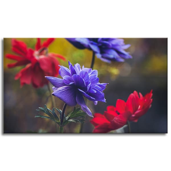 Canvastavla Botanik Vildblommor 120x70 cm