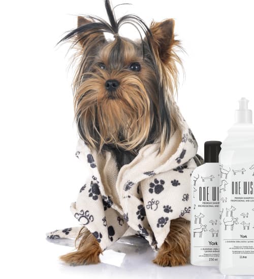 ONE Wish Shampoo til Yorkshire Terriere 250 ml