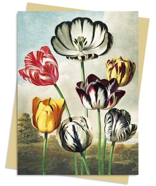 Kort B6 Tulipaner Floraens Tempel