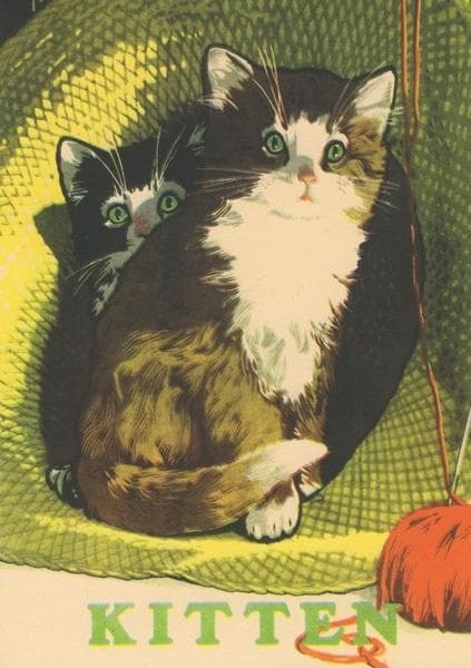 B6-kort med kuvert Två katter