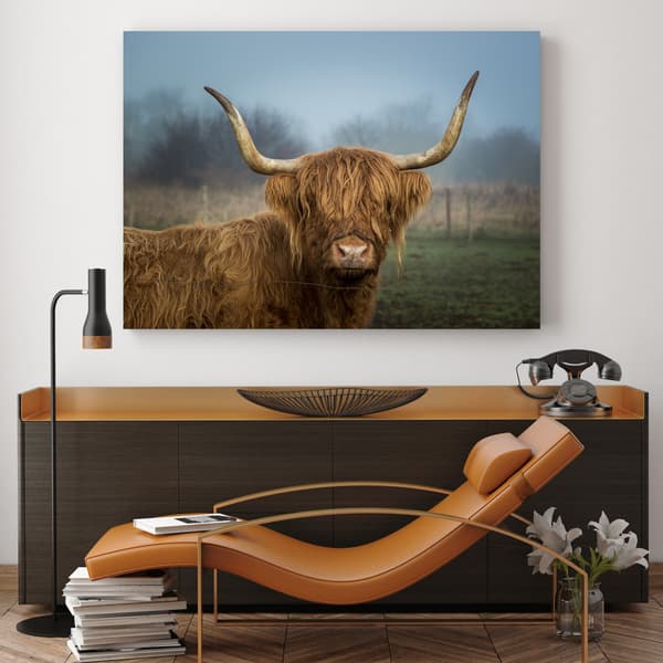 Lærredstryk Dyr Skotsk Ko 90x60 cm
